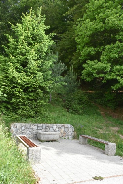 Crngrob-Križna gora 21.5.2022 - foto