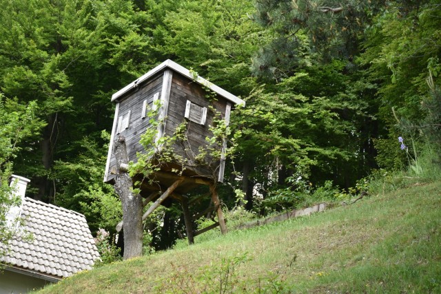 Crngrob-Križna gora 21.5.2022 - foto