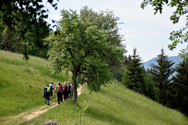 Crngrob-Križna gora 21.5.2022 - foto
