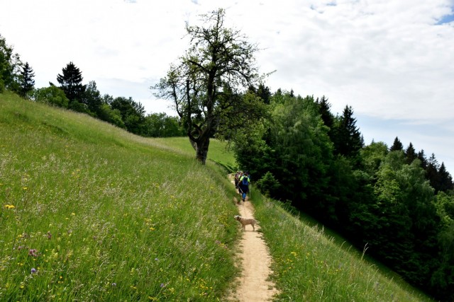 Crngrob-Križna gora 21.5.2022 - foto