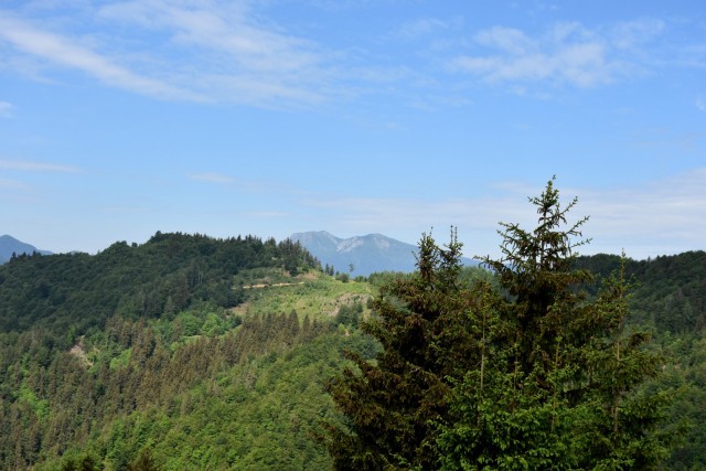 Crngrob-Križna gora 21.5.2022 - foto