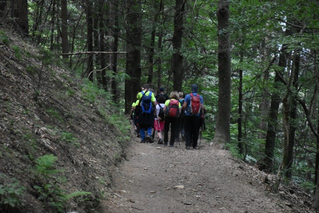 Crngrob-Križna gora 21.5.2022 - foto