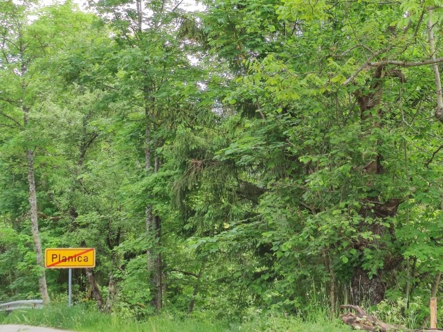 Crngrob-Križna gora 21.5.2022 - foto
