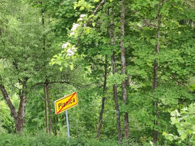Crngrob-Križna gora 21.5.2022 - foto