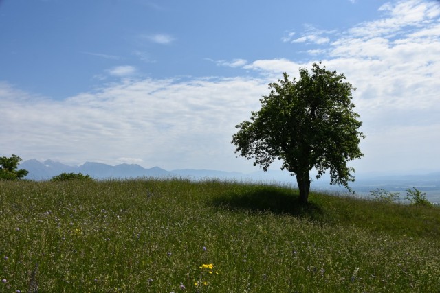 Crngrob-Križna gora 21.5.2022 - foto