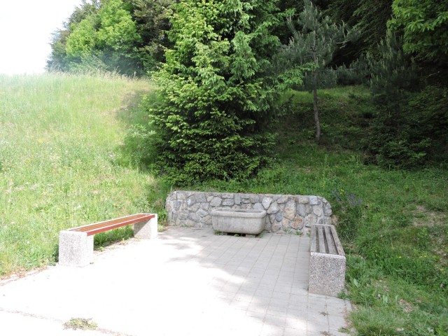 Crngrob-Križna gora 21.5.2022 - foto