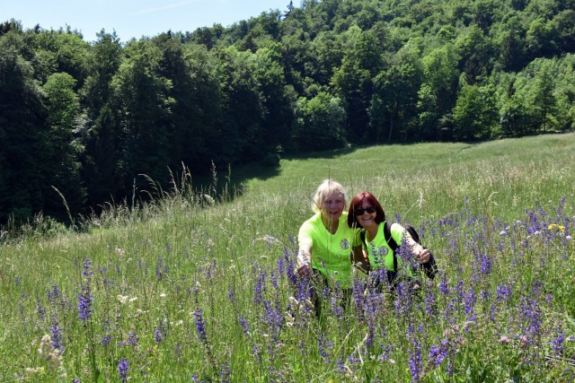 Crngrob-Križna gora 21.5.2022 - foto