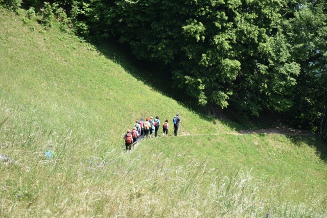Crngrob-Križna gora 21.5.2022 - foto