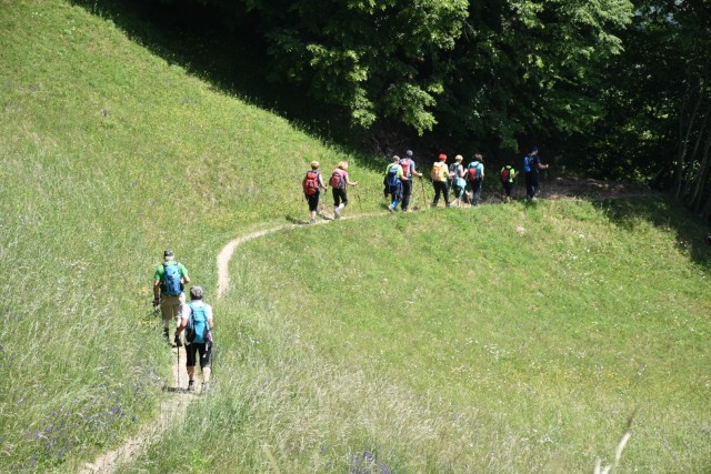 Crngrob-Križna gora 21.5.2022 - foto