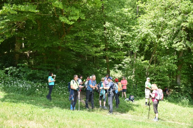 Crngrob-Križna gora 21.5.2022 - foto