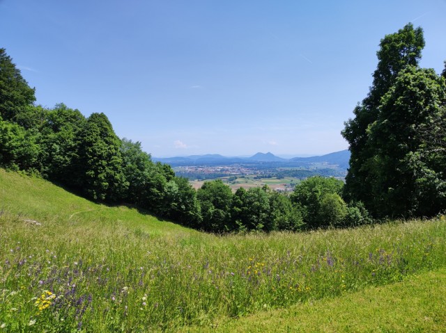 Crngrob-Križna gora 21.5.2022 - foto