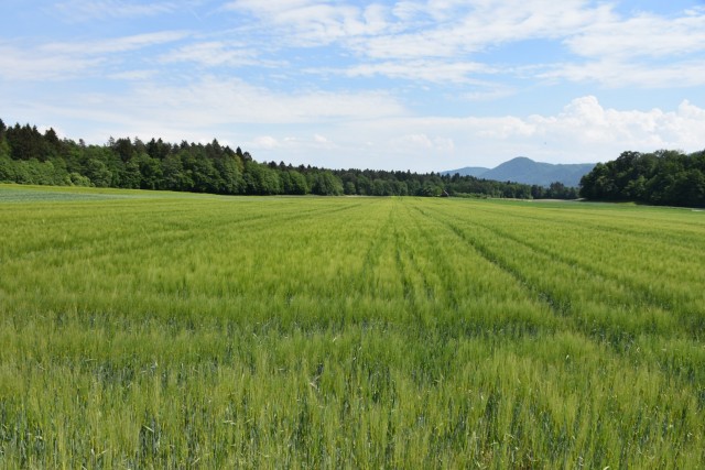Crngrob-Križna gora 21.5.2022 - foto