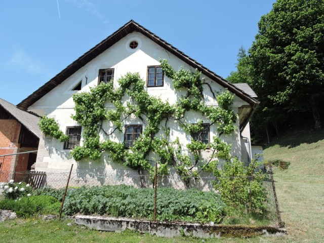 Crngrob-Križna gora 21.5.2022 - foto