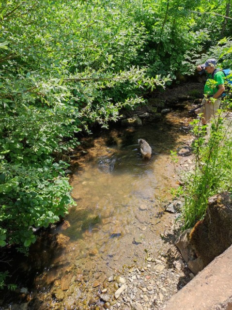 Crngrob-Križna gora 21.5.2022 - foto