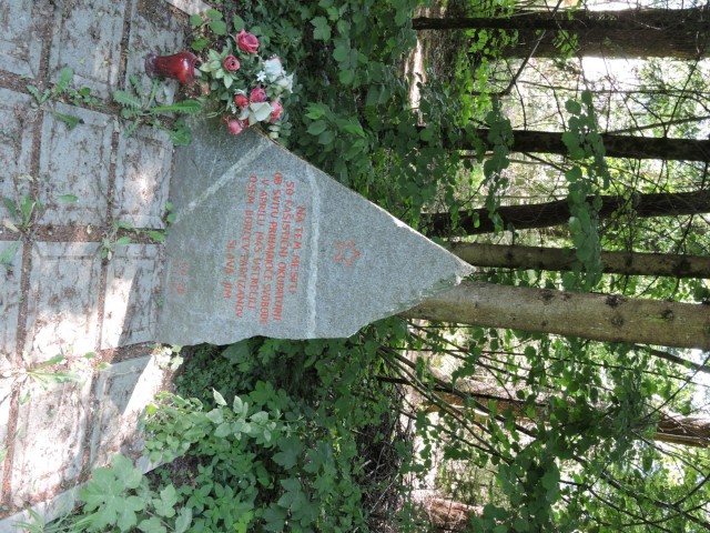Crngrob-Križna gora 21.5.2022 - foto