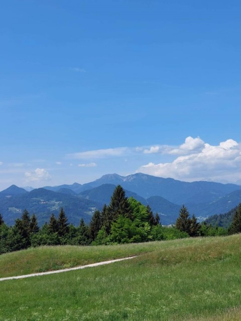 Crngrob-Križna gora 21.5.2022 - foto