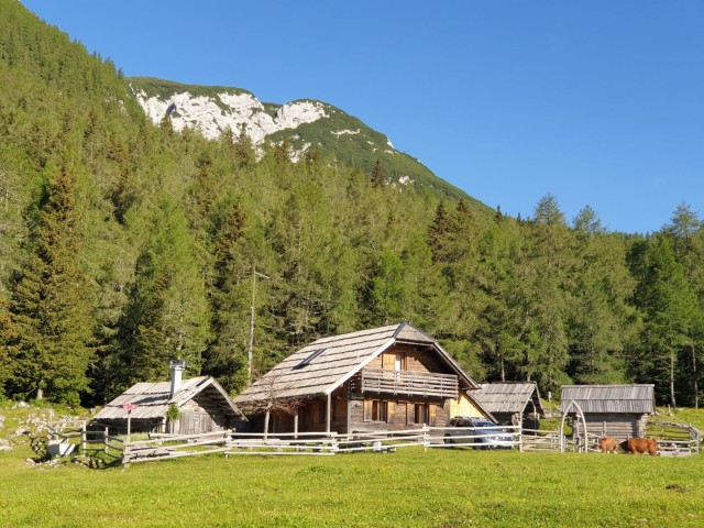 Križevnik 18.6.2022 - foto