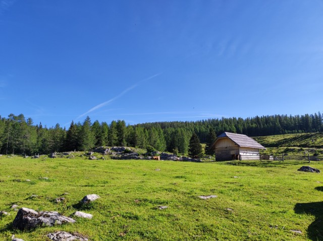 Križevnik 18.6.2022 - foto