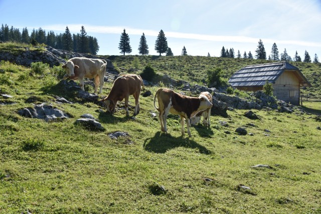 Križevnik 18.6.2022 - foto