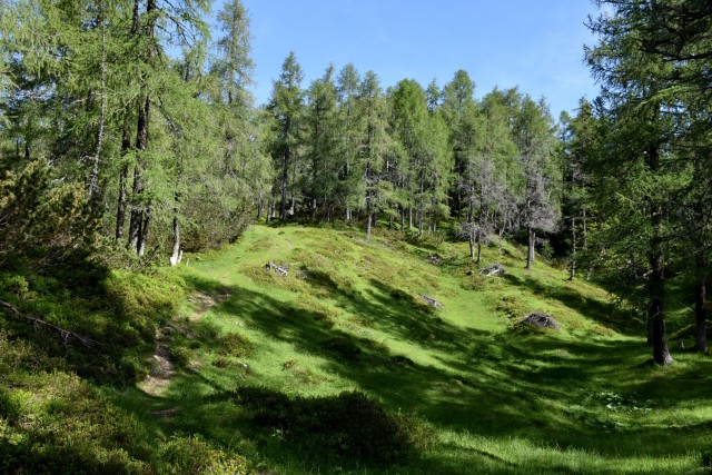 Križevnik 18.6.2022 - foto