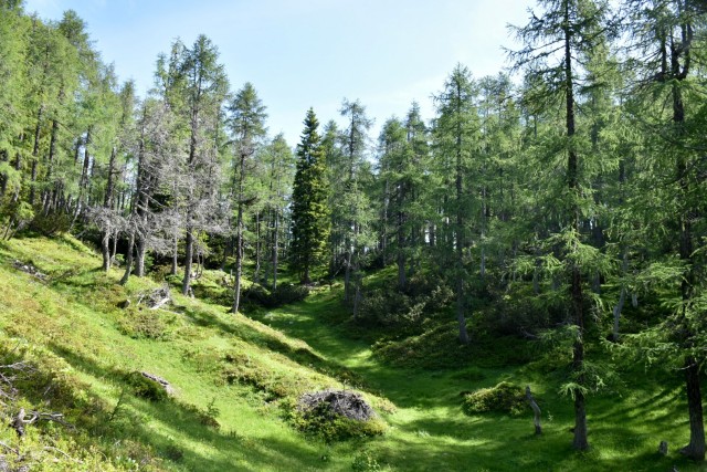 Križevnik 18.6.2022 - foto