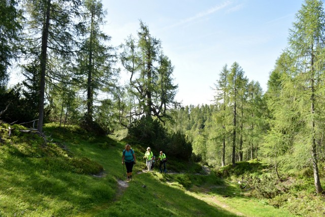 Križevnik 18.6.2022 - foto