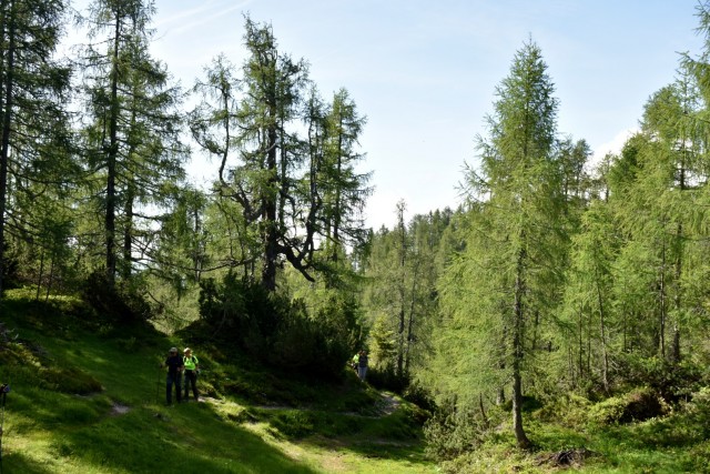 Križevnik 18.6.2022 - foto
