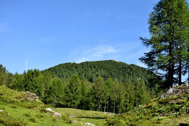 Križevnik 18.6.2022 - foto
