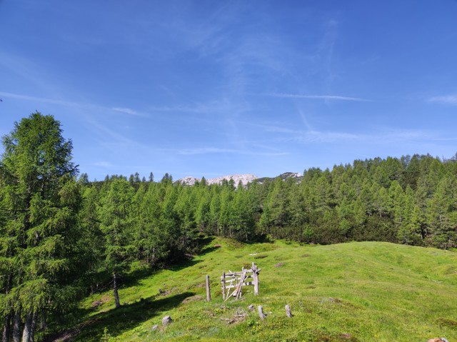 Križevnik 18.6.2022 - foto