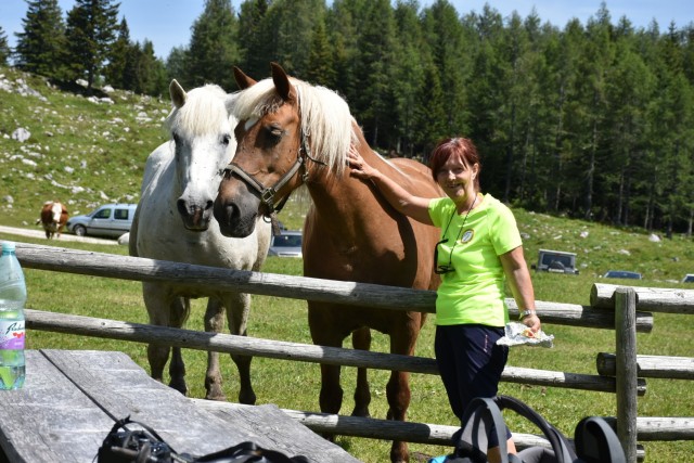 Križevnik 18.6.2022 - foto