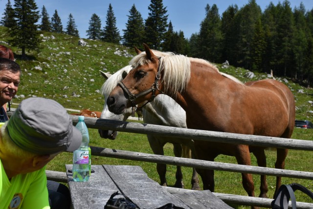 Križevnik 18.6.2022 - foto