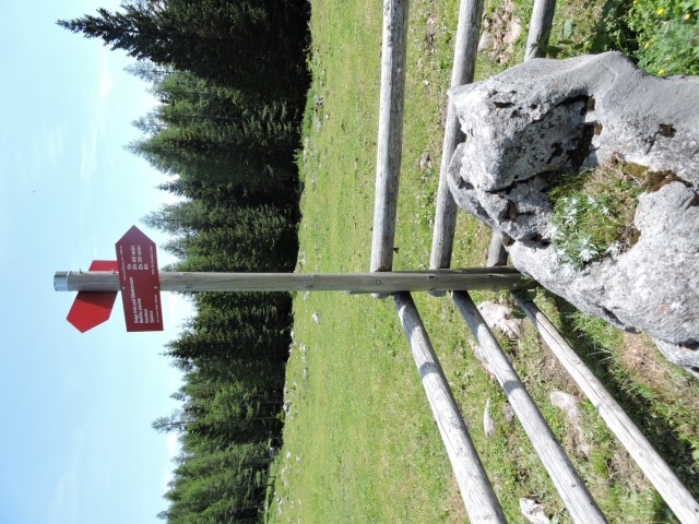 Križevnik 18.6.2022 - foto