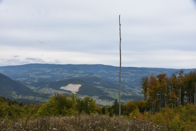Stolpnik 19.11.2022 - foto
