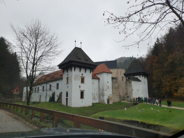 Stolpnik 19.11.2022 - foto