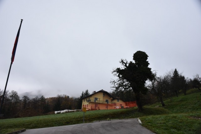 Stolpnik 19.11.2022 - foto