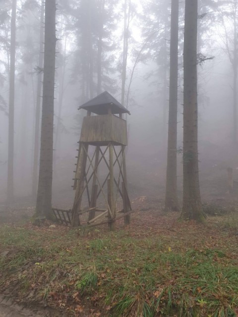 Stolpnik 19.11.2022 - foto