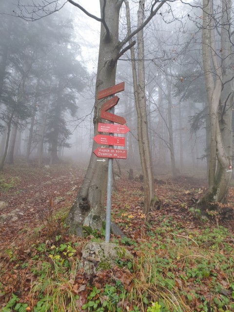 Stolpnik 19.11.2022 - foto