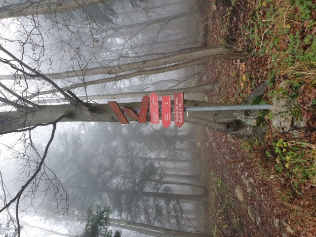 Stolpnik 19.11.2022 - foto