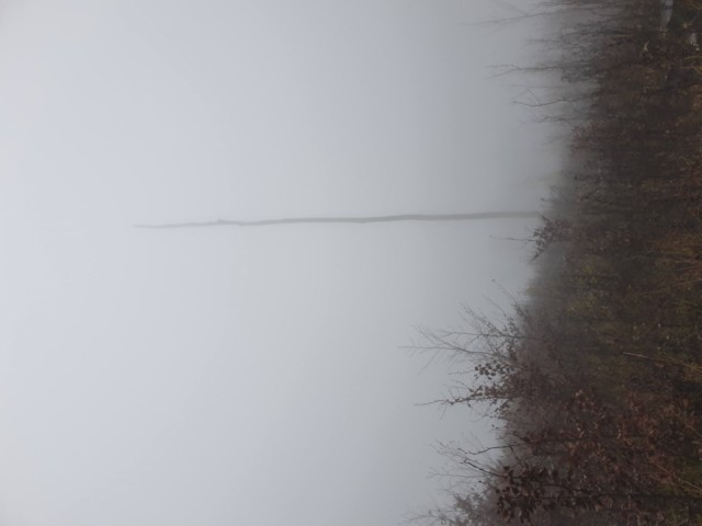 Stolpnik 19.11.2022 - foto