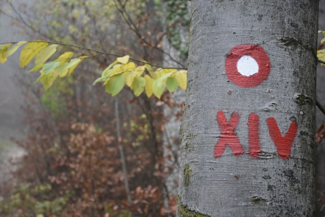 Stolpnik 19.11.2022 - foto