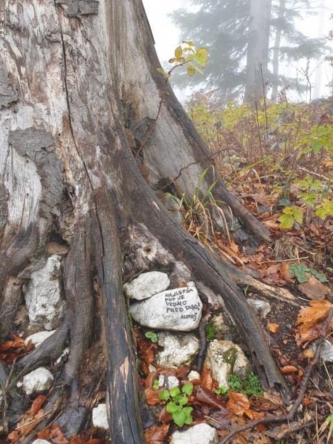 Stolpnik 19.11.2022 - foto