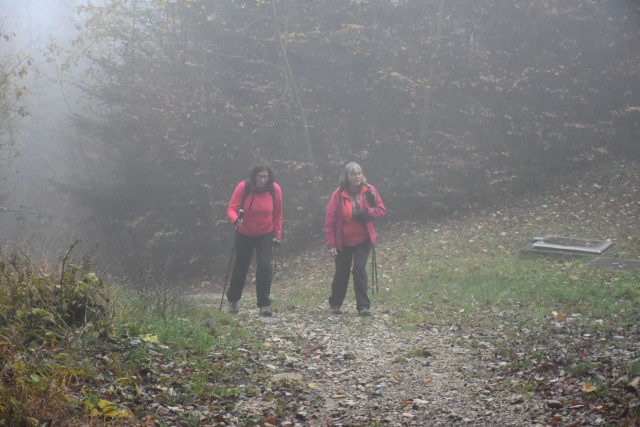 Stolpnik 19.11.2022 - foto