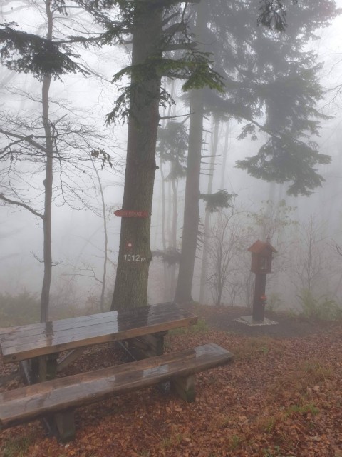 Stolpnik 19.11.2022 - foto