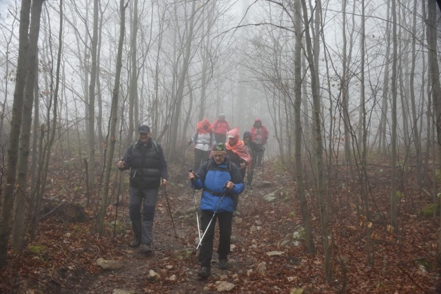 Stolpnik 19.11.2022 - foto