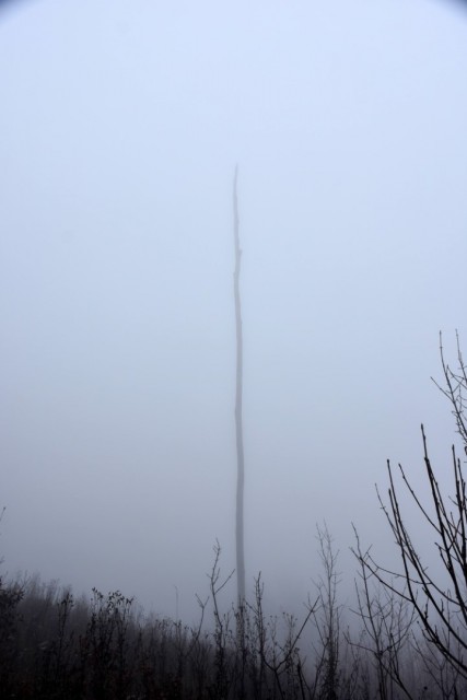 Stolpnik 19.11.2022 - foto