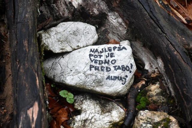 Stolpnik 19.11.2022 - foto