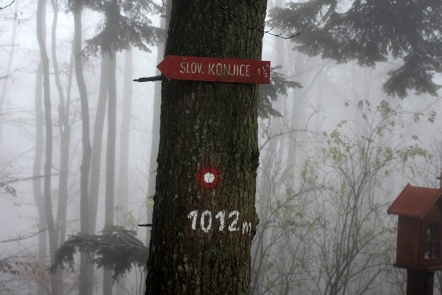 Stolpnik 19.11.2022 - foto
