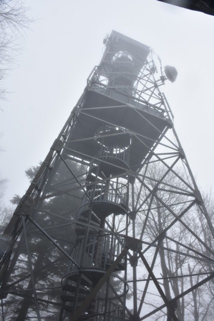 Stolpnik 19.11.2022 - foto