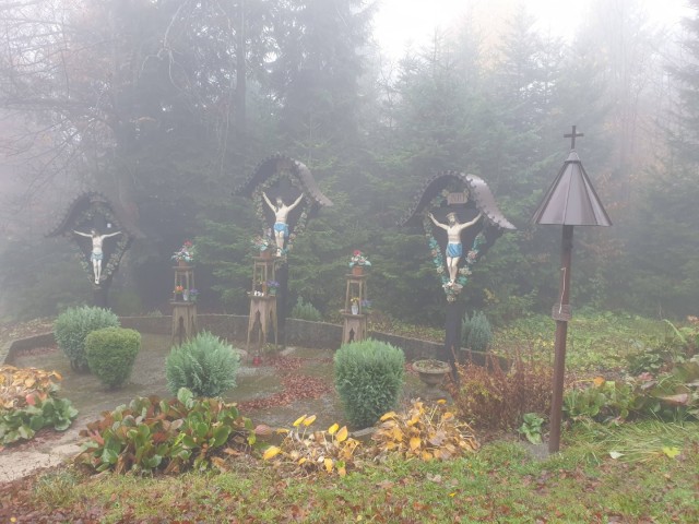 Stolpnik 19.11.2022 - foto