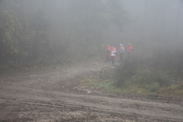 Stolpnik 19.11.2022 - foto